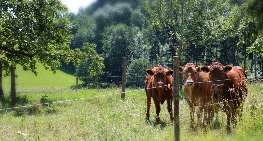 Bio-Landwirtschaft seit 1979